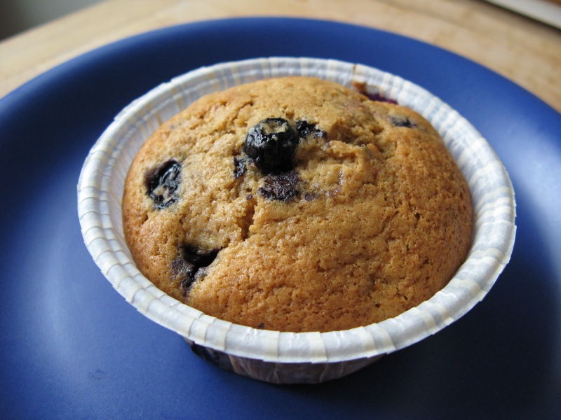 American blueberry muffin