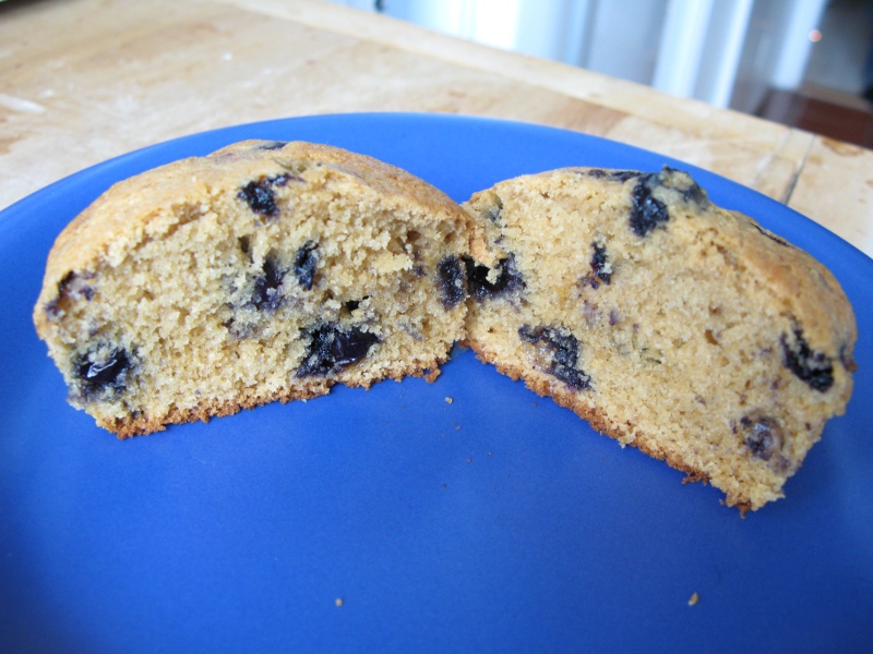 A sweet taste of blueberry