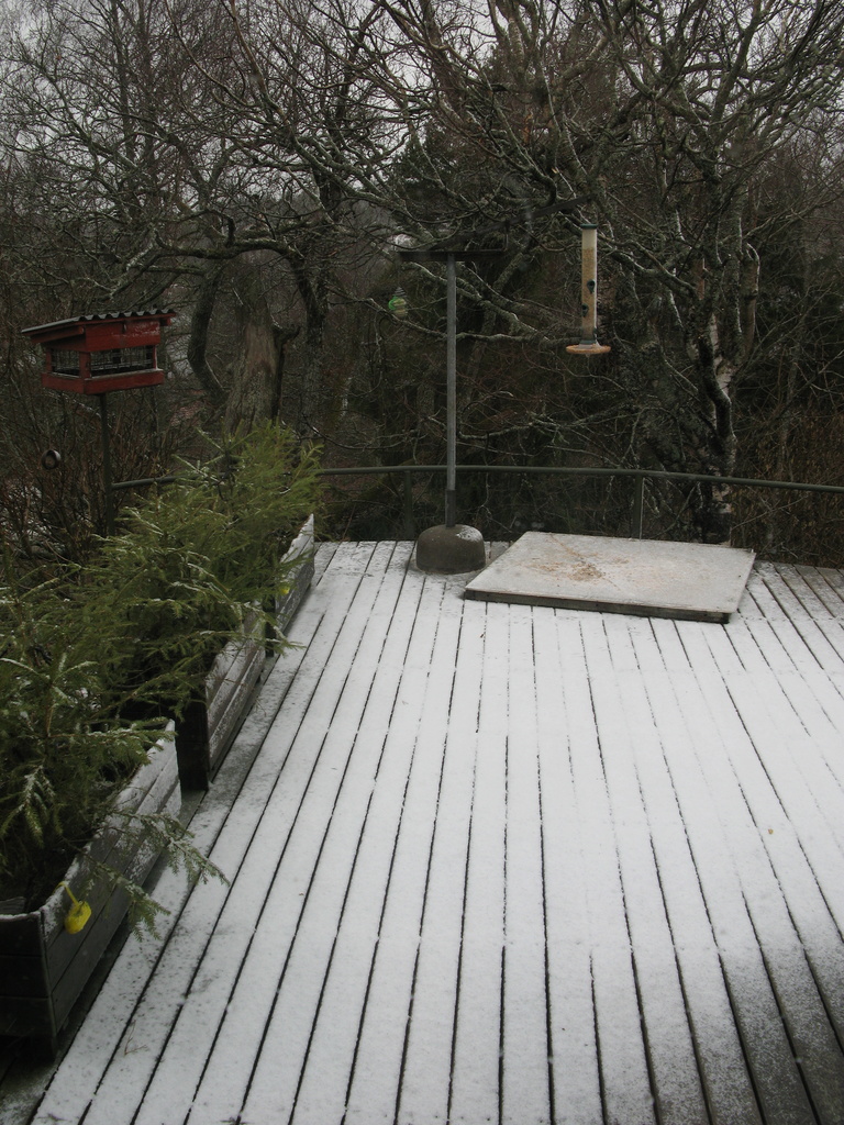 Saturday - and snow in the morning