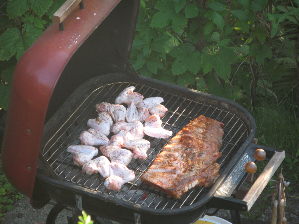Chicken wings and ribs