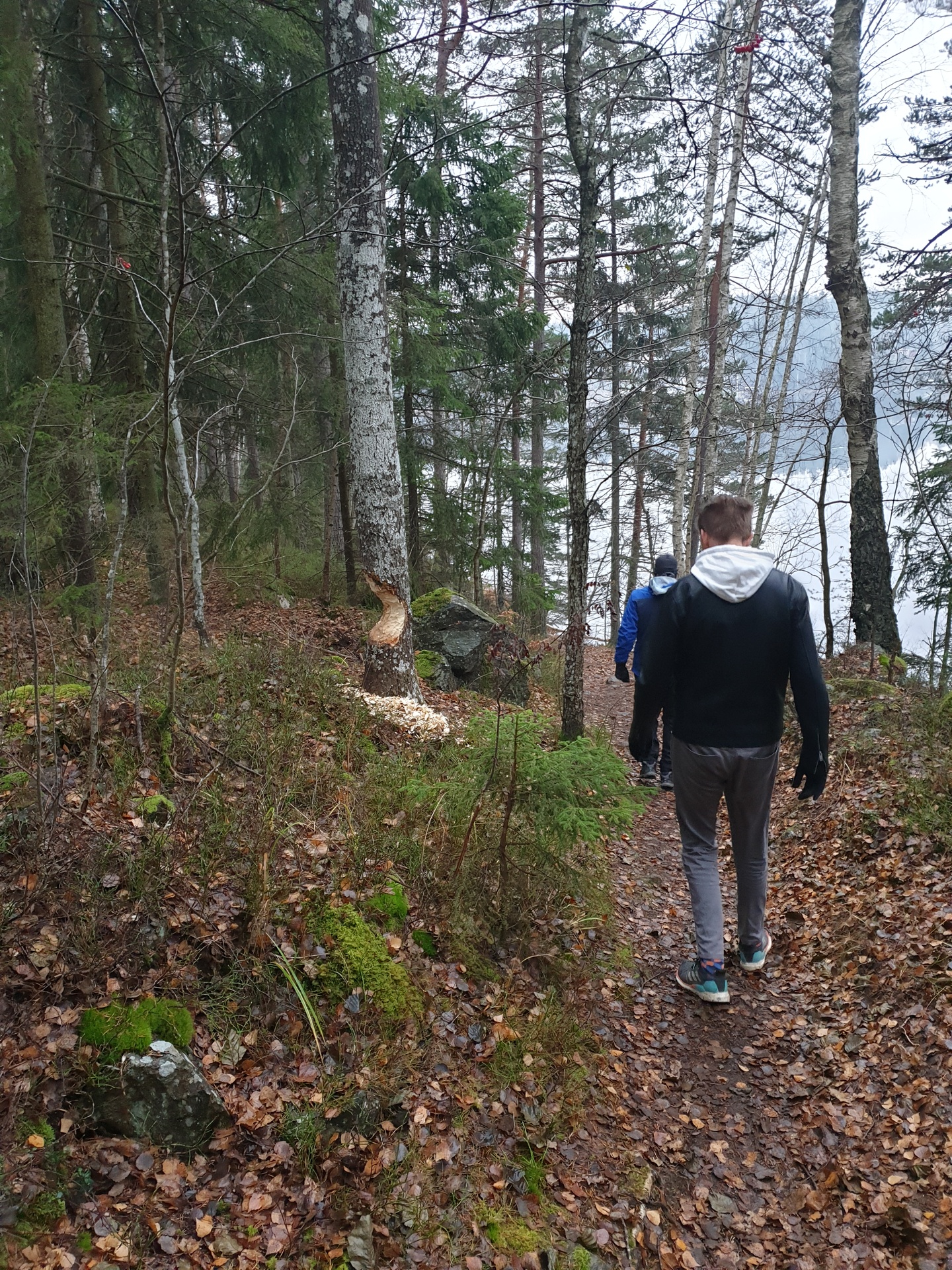 Further on Up the Road