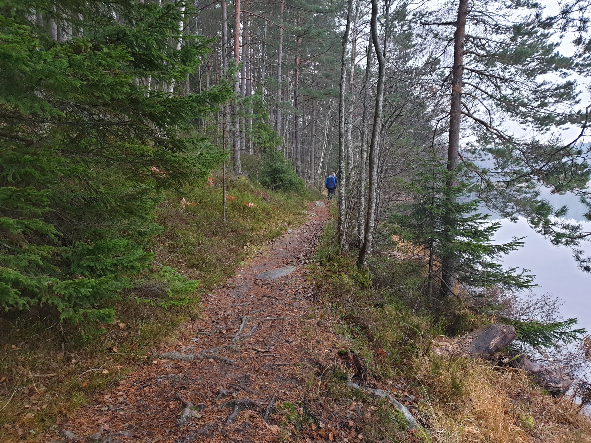 The Long Walk Home